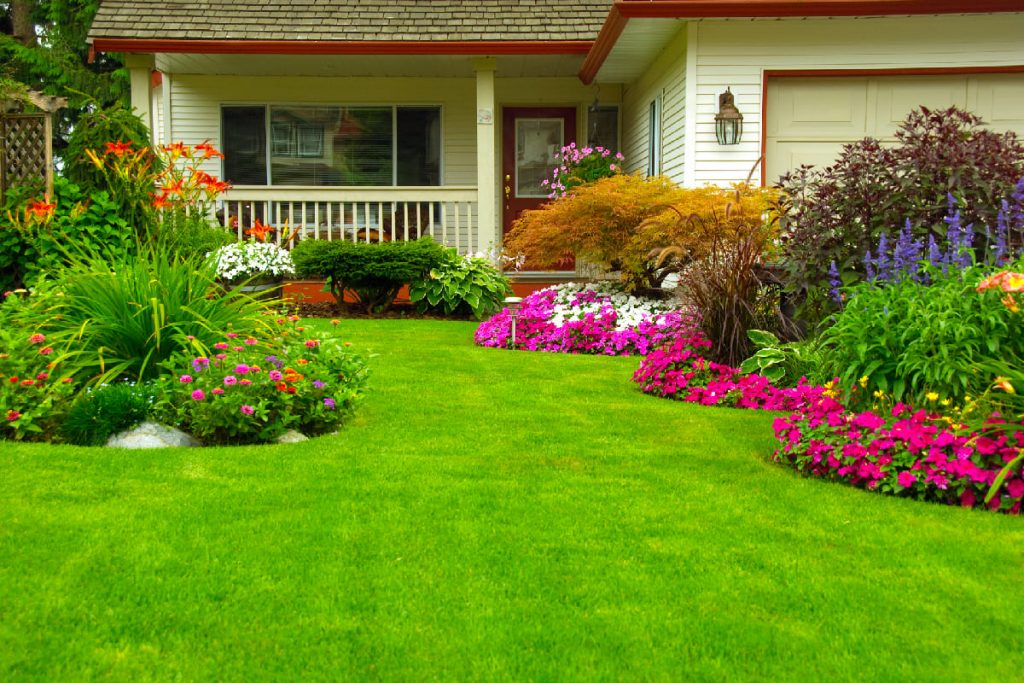 Home True North Lawn Landscape Service